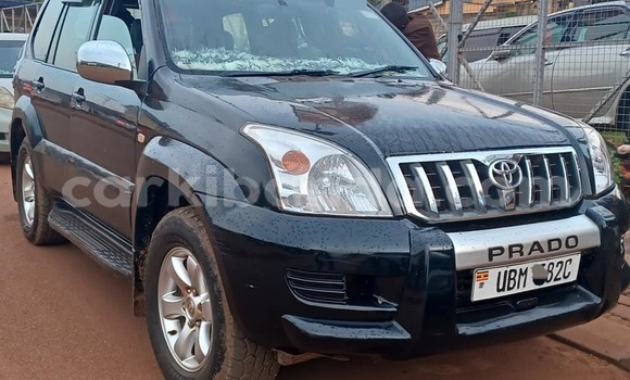 Acheter Occasion Voiture Toyota Land Cruiser Prado Noir à Bombo, Central