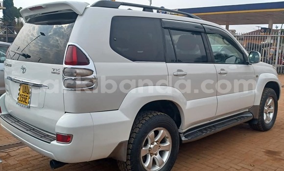 Acheter Occasion Voiture Toyota Prado Blanc à Bugiri, Est