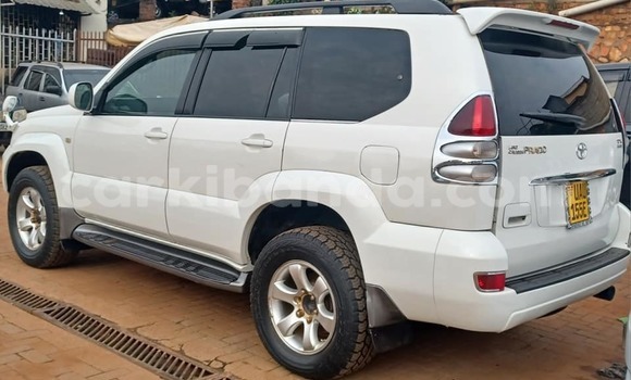 Buy Used Toyota Prado White Car in Bugiri in Eastern Buy Used Toyota Prado White Car in Bugiri in Eastern