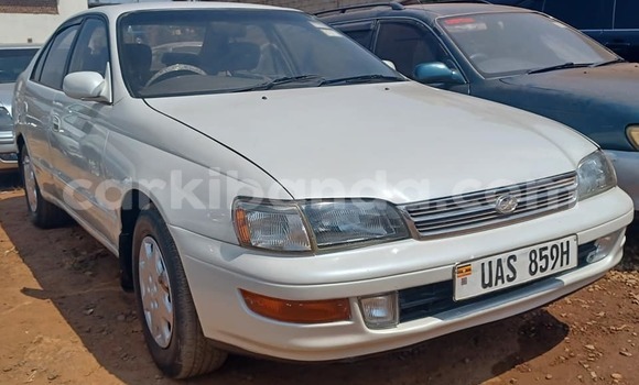 Nunua Ilio tumika Toyota Corolla Nyeupe Gari ndani ya Bugembe nchini Mashariki