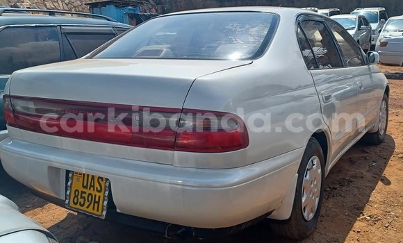 Buy Used Toyota Corolla White Car in Bugembe in Eastern Buy Used Toyota Corolla White Car in Bugembe in Eastern