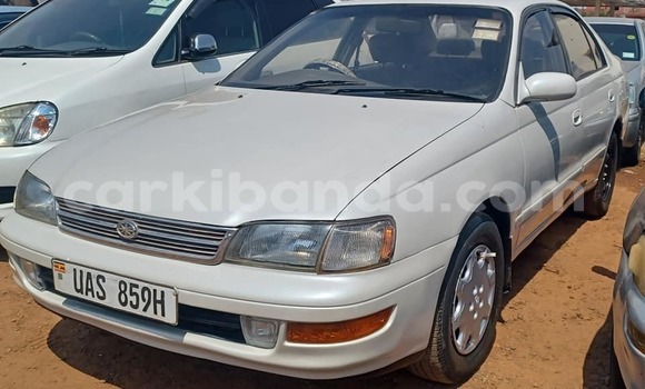 Buy Used Toyota Corolla White Car in Bugembe in Eastern Buy Used Toyota Corolla White Car in Bugembe in Eastern