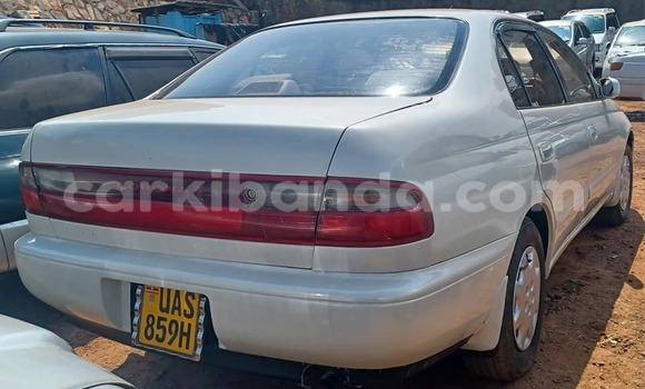 Buy Used Toyota Corolla White Car in Bugembe in Eastern Buy Used Toyota Corolla White Car in Bugembe in Eastern