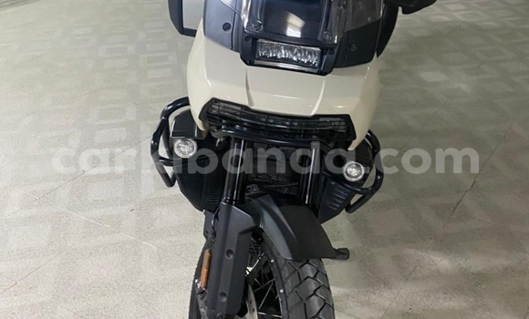 Buy Used Harley Davidson Dyna Other Bike in Kampala in Uganda Buy Used Harley Davidson Dyna Other Bike in Kampala in Uganda