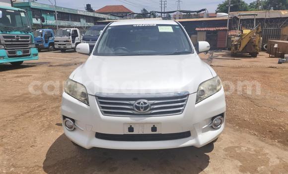 Acheter Import Voiture Toyota Vanguard Blanc à Kampala, Ouganda Acheter Import Voiture Toyota Vanguard Blanc à Kampala, Ouganda