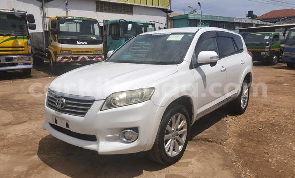 Acheter Import Voiture Toyota Vanguard Blanc à Kampala, Ouganda Acheter Import Voiture Toyota Vanguard Blanc à Kampala, Ouganda