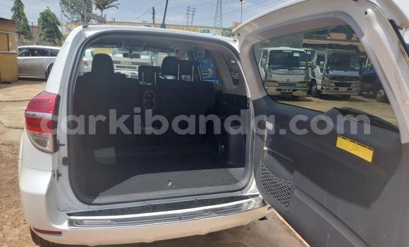 Acheter Import Voiture Toyota Vanguard Blanc à Kampala, Ouganda Acheter Import Voiture Toyota Vanguard Blanc à Kampala, Ouganda