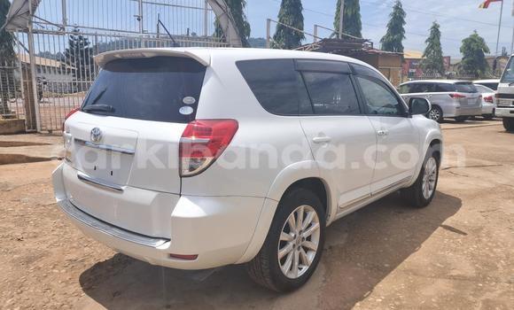 Acheter Import Voiture Toyota Vanguard Blanc à Kampala, Ouganda Acheter Import Voiture Toyota Vanguard Blanc à Kampala, Ouganda