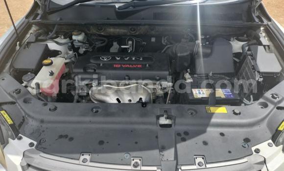 Acheter Import Voiture Toyota Vanguard Blanc à Kampala, Ouganda Acheter Import Voiture Toyota Vanguard Blanc à Kampala, Ouganda