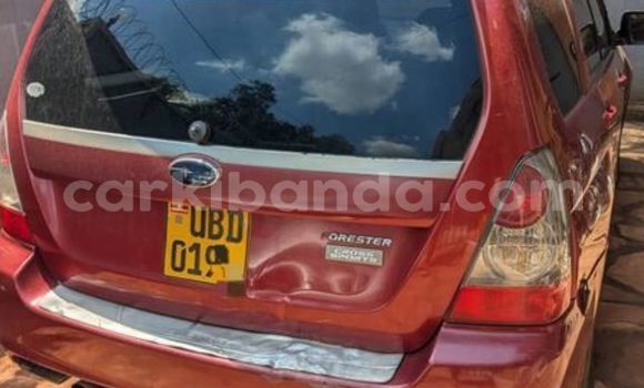 Acheter Occasion Voiture Subaru Brat Rouge à Arua, Ouganda Acheter Occasion Voiture Subaru Brat Rouge à Arua, Ouganda