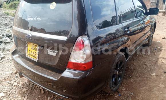 Acheter Occasion Voiture Subaru Bighorn Noir à Bugembe, Est Acheter Occasion Voiture Subaru Bighorn Noir à Bugembe, Est