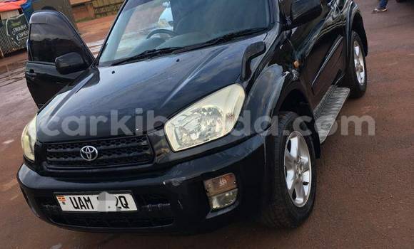 Nunua Ilio tumika Toyota RAV4 Nyeusi Gari ndani ya Arua nchini Uganda Nunua Ilio tumika Toyota RAV4 Nyeusi Gari ndani ya Arua nchini Uganda