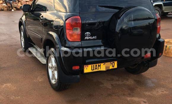 Acheter Occasion Voiture Toyota RAV4 Noir à Arua, Ouganda Acheter Occasion Voiture Toyota RAV4 Noir à Arua, Ouganda