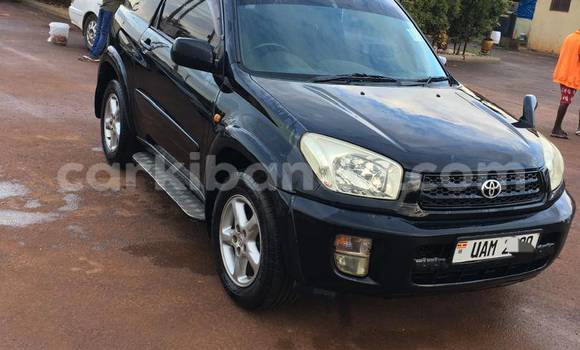 Acheter Occasion Voiture Toyota RAV4 Noir à Arua, Ouganda Acheter Occasion Voiture Toyota RAV4 Noir à Arua, Ouganda
