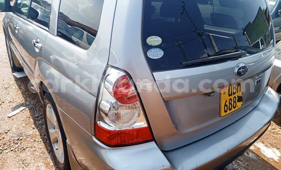 Acheter Occasion Voiture Subaru Forester Autre à Bugembe, Est Acheter Occasion Voiture Subaru Forester Autre à Bugembe, Est