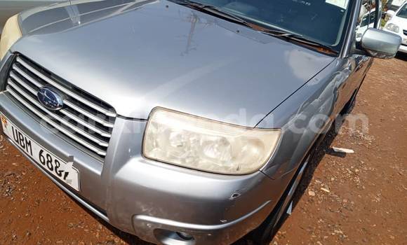 Acheter Occasion Voiture Subaru Forester Autre à Bugembe, Est Acheter Occasion Voiture Subaru Forester Autre à Bugembe, Est