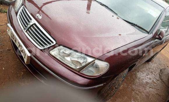 Acheter Occasion Voiture Nissan Bluebird Autre à Bombo, Central Acheter Occasion Voiture Nissan Bluebird Autre à Bombo, Central