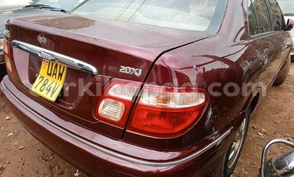 Acheter Occasion Voiture Nissan Bluebird Autre à Bombo, Central Acheter Occasion Voiture Nissan Bluebird Autre à Bombo, Central