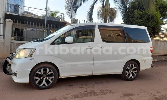 Acheter Occasion Voiture Toyota Alphard Blanc à Bombo, Central Acheter Occasion Voiture Toyota Alphard Blanc à Bombo, Central