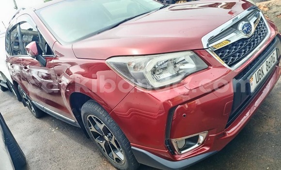 Buy Used Subaru XT Red Car in Bugembe in Eastern