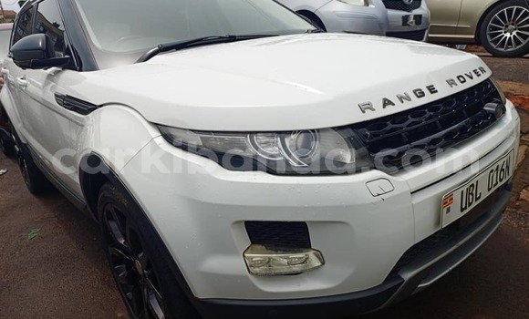 Buy Used Land Rover Range Rover Evoque White Car in Bundibugyo in Western