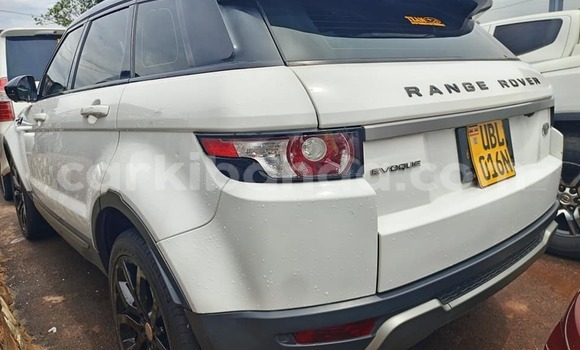 Acheter Occasion Voiture Land Rover Range Rover Evoque Blanc à Bundibugyo, Occidental Acheter Occasion Voiture Land Rover Range Rover Evoque Blanc à Bundibugyo, Occidental