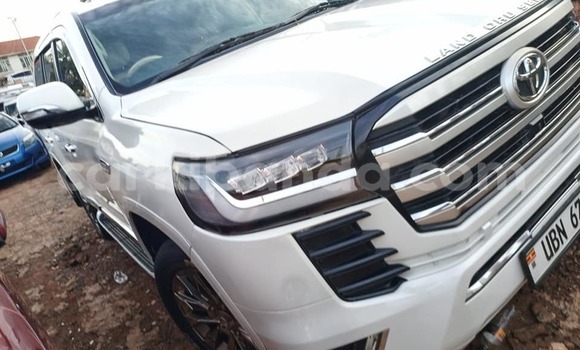 Acheter Occasion Voiture Toyota Land Cruiser Blanc à Bugembe, Est