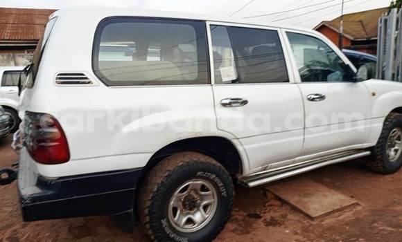 Acheter Occasion Voiture Toyota Land Cruiser Blanc à Bugiri, Est Acheter Occasion Voiture Toyota Land Cruiser Blanc à Bugiri, Est