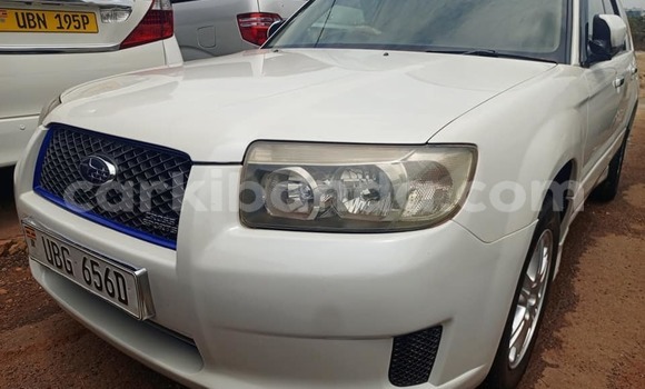Acheter Occasion Voiture Subaru Forester Blanc à Bombo, Central Acheter Occasion Voiture Subaru Forester Blanc à Bombo, Central
