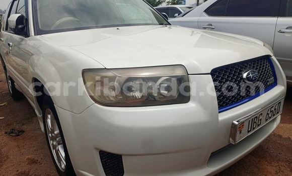 Acheter Occasion Voiture Subaru Forester Blanc à Bombo, Central Acheter Occasion Voiture Subaru Forester Blanc à Bombo, Central