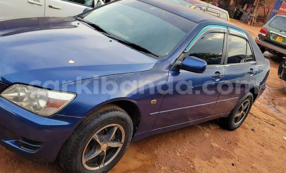 Acheter Occasion Voiture Toyota Altezza Bleu à Bombo, Central Acheter Occasion Voiture Toyota Altezza Bleu à Bombo, Central