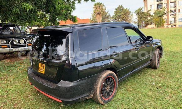 Acheter Occasion Voiture Subaru Baja Noir à Bugembe, Est Acheter Occasion Voiture Subaru Baja Noir à Bugembe, Est