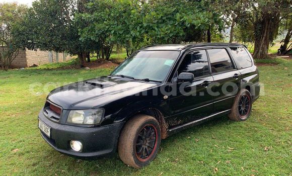 Acheter Occasion Voiture Subaru Baja Noir à Bugembe, Est Acheter Occasion Voiture Subaru Baja Noir à Bugembe, Est