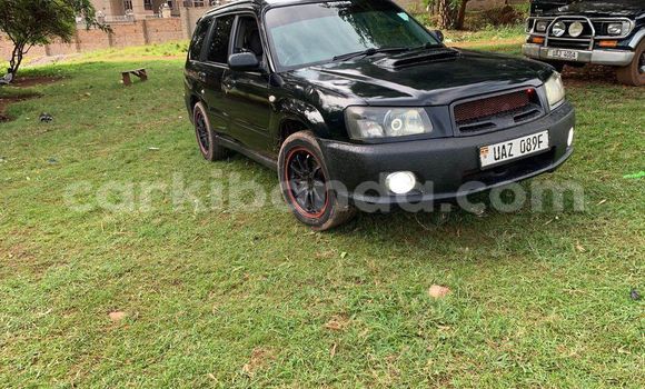 Acheter Occasion Voiture Subaru Baja Noir à Bugembe, Est Acheter Occasion Voiture Subaru Baja Noir à Bugembe, Est
