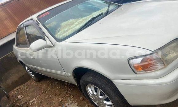 Gura Yakoze Toyota Premio Other Imodoka i Kampala mu Uganda Gura Yakoze Toyota Premio Other Imodoka i Kampala mu Uganda