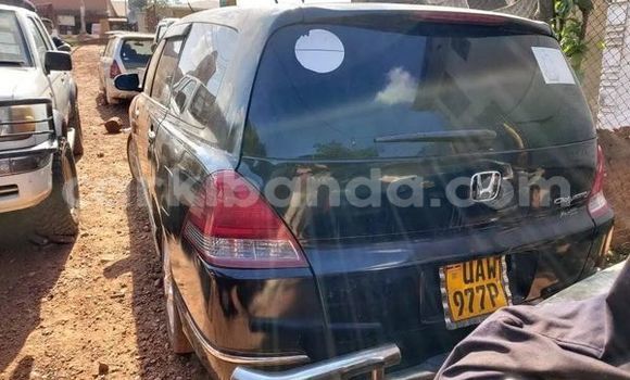 Buy Used Toyota Opa Other Car in Kampala in Uganda