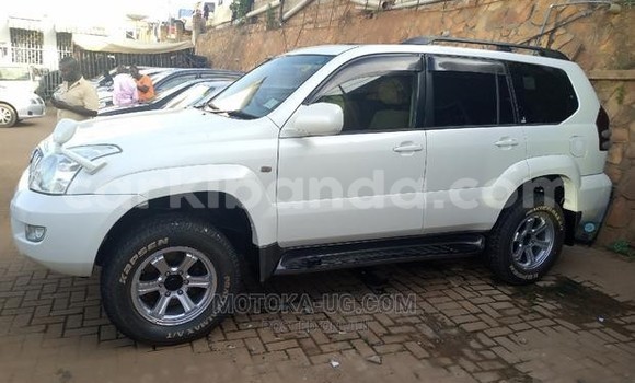 Buy Used Toyota Prado White Car in Kampala in Uganda Buy Used Toyota Prado White Car in Kampala in Uganda