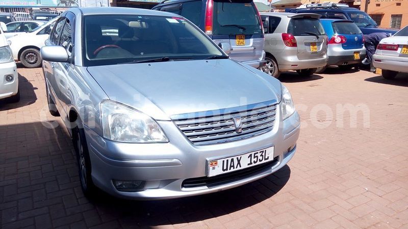 Big with watermark 49457110 241530956743308 7473591683175677952 n