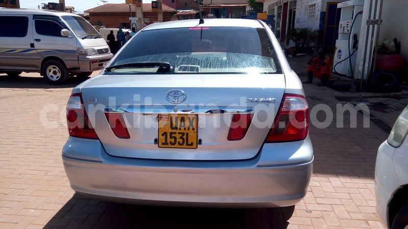 Big with watermark 49694605 241530743409996 4713924154380779520 n