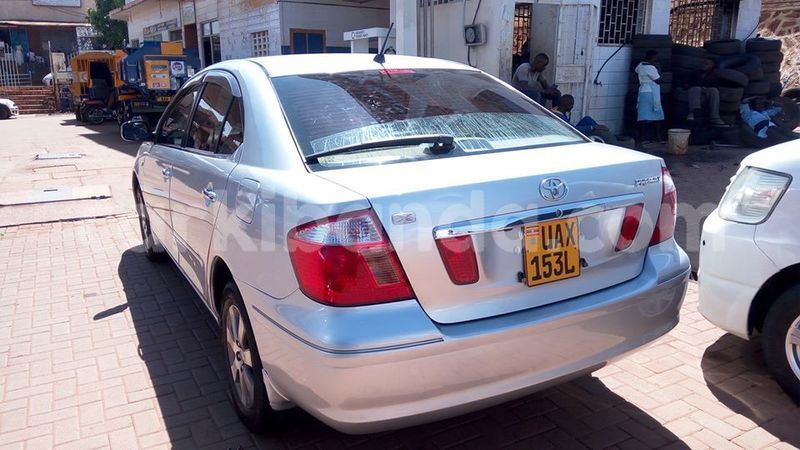 Big with watermark 49835405 241530696743334 1895908025990905856 n