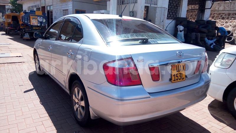 Big with watermark 49596123 241530646743339 3358392017171251200 n