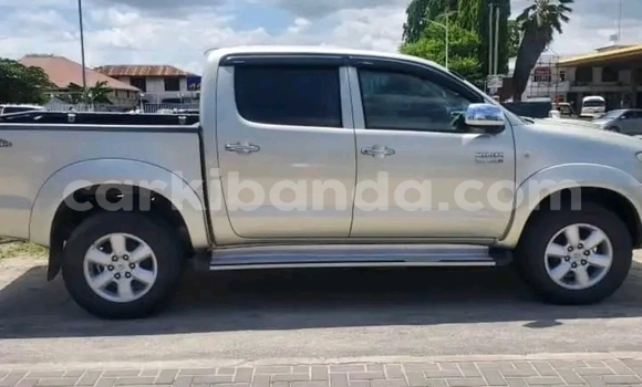 Acheter Occasion Voiture Toyota Hilux Autre à Bundibugyo, Occidental Acheter Occasion Voiture Toyota Hilux Autre à Bundibugyo, Occidental