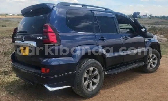 Acheter Occasion Voiture Toyota Prado Noir à Hima, Occidental