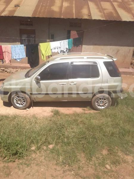 Big with watermark 49599649 399262484148111 1179850116329111552 n