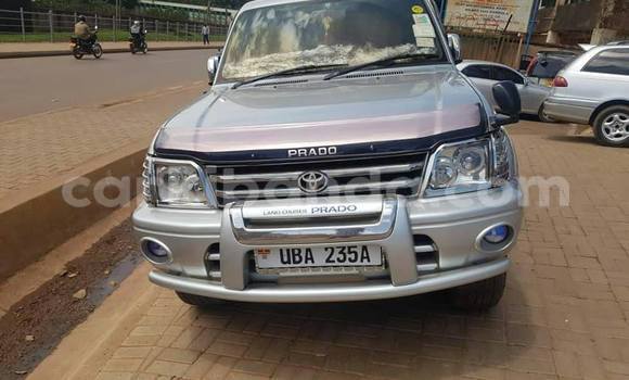 Buy Used Toyota Land Cruiser Prado Silver Car in Kampala in Uganda Buy Used Toyota Land Cruiser Prado Silver Car in Kampala in Uganda