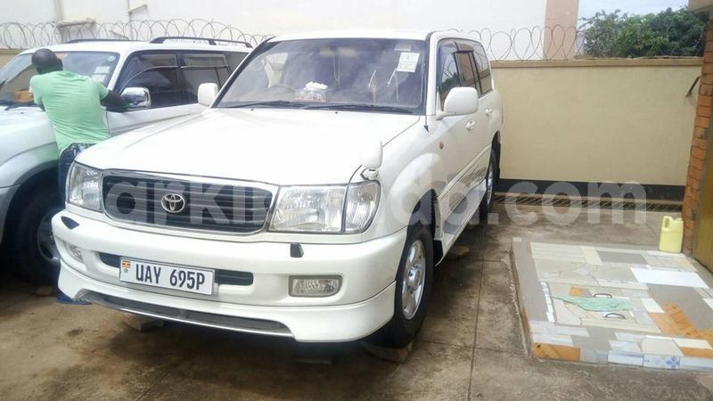 Big with watermark 49251314 360041024786542 139996146935267328 n