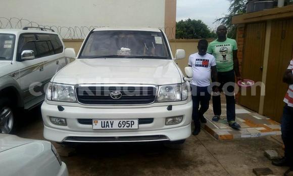 Buy Used Toyota Land Cruiser White Car in Kampala in Uganda Buy Used Toyota Land Cruiser White Car in Kampala in Uganda