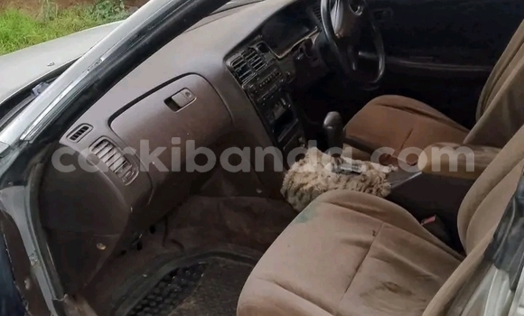 Gura Yakoze Toyota Camry Other Imodoka i Mukono mu Uganda Gura Yakoze Toyota Camry Other Imodoka i Mukono mu Uganda