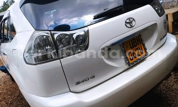 Gura Yakoze Toyota Harrier White Imodoka i Bundibugyo mu Western Gura Yakoze Toyota Harrier White Imodoka i Bundibugyo mu Western