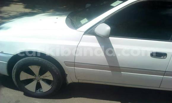 Buy Used Toyota Premio White Car in Kampala in Uganda Buy Used Toyota Premio White Car in Kampala in Uganda